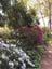 Wollongong Botanic Gardens Public Day Tour Image -5da65304f0917